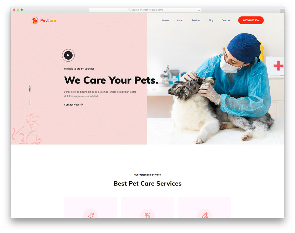 Thiết kế website phòng khám: Cách tạo form đăng ký ngắn gọn, hiệu quả