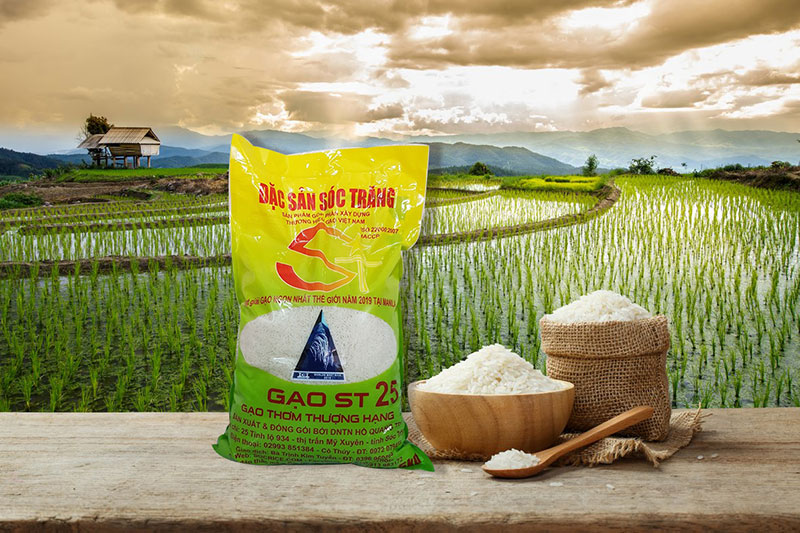 các mẫu bao bì lúa gạo đẹp nhất 3