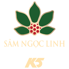 200++ Mẫu thiết kế logo sâm Ngọc Linh đẹp (cập nhật 2024)