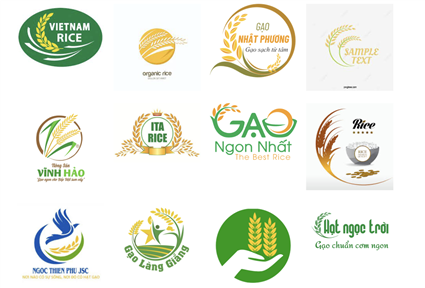268++ Mẫu thiết kế logo hạt gạo đẹp (cập nhật 2024)