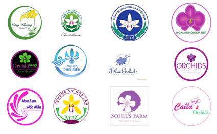 168++ Mẫu thiết kế logo hoa Lan đẹp, sáng tạo (cập nhật 2024)