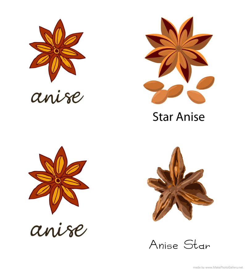 200++ Mẫu thiết kế logo hình hoa Hồi đẹp (cập nhật 2024)