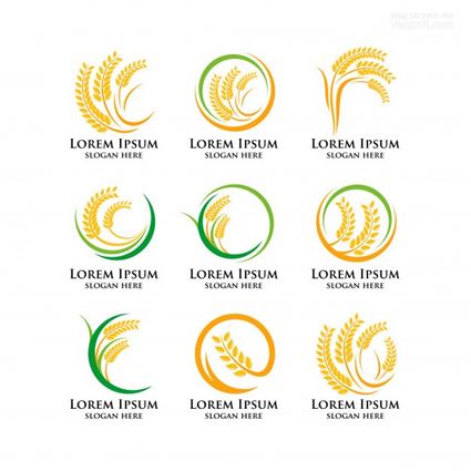 200++ Mẫu thiết kế logo cho công ty gạo đẹp, độc, lạ (cập nhật 2024)