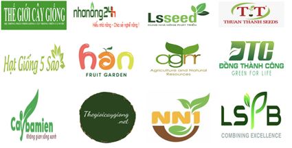 200++ Mẫu thiết kế logo giống cây trồng siêu đẹp (cập nhật 2024)