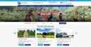 Giao diện website du lịch Tâm Việt Tourist