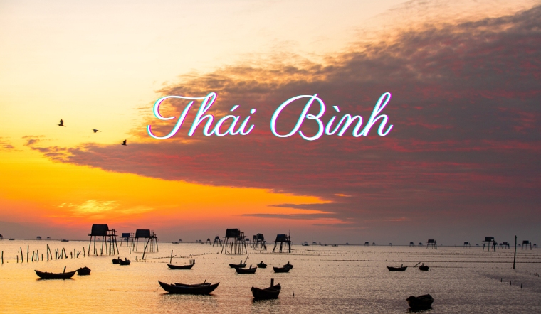 Thiết Kế Website Tại Thái Bình || Chuyên Nghiệp - Giao Diện Đẹp ‎‎(cập nhật 2024)